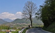 97 Da Stabello camminatina per la Corna da dove siam partiti